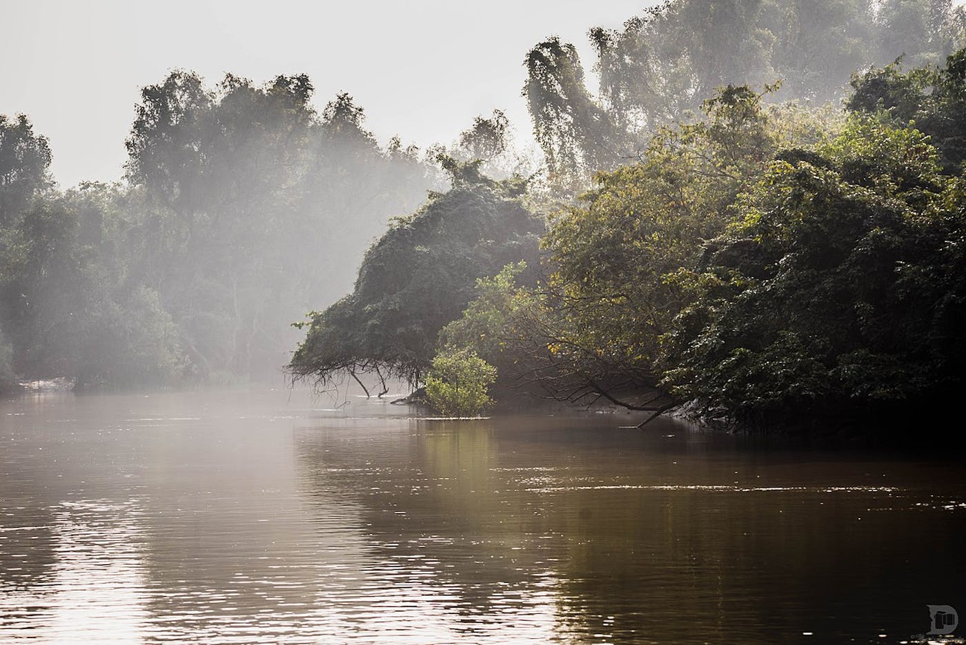 Northern Deccan & Odisha Tropical Forests (IM7)